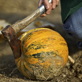 Pumpkin-Seed-Oil-1